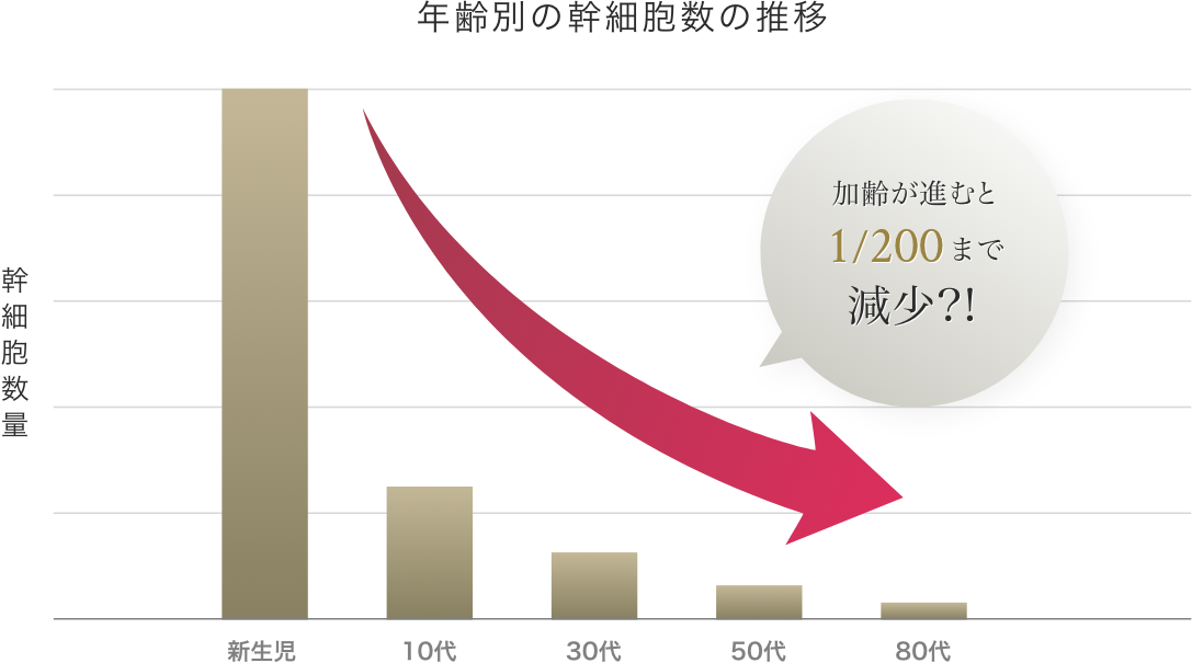 年齢別の幹細胞数の推移